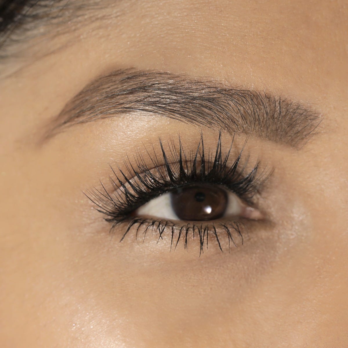 LashSense® Lashes Bloom Box