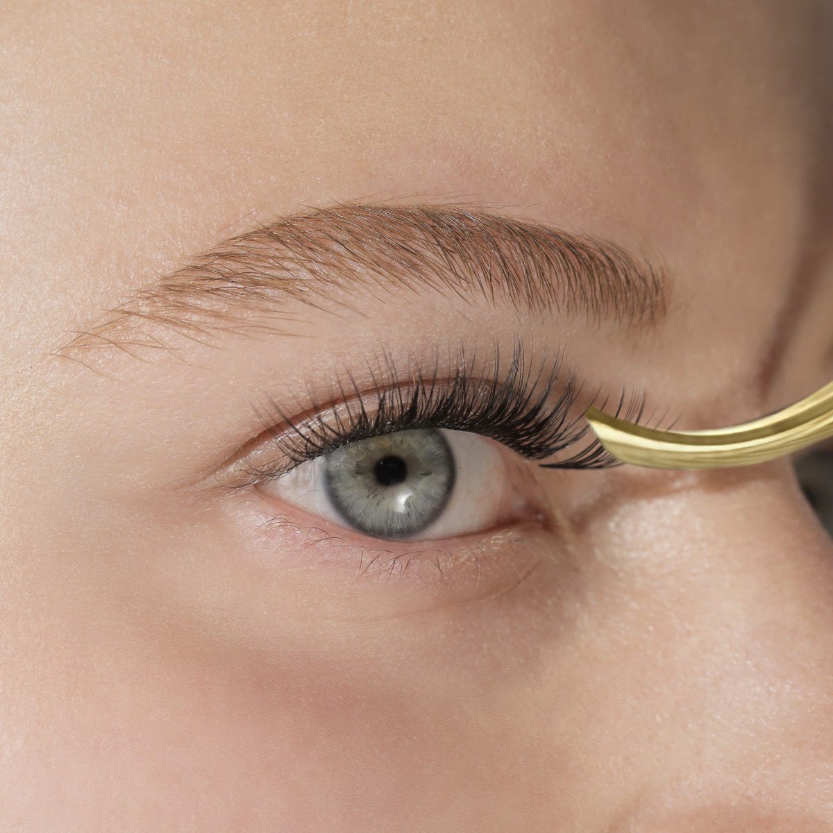 LashSense® Lashes Bloom Box