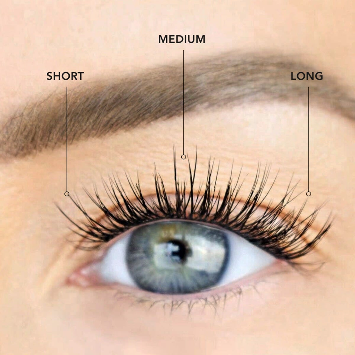 LashSense® Lashes Bloom Box