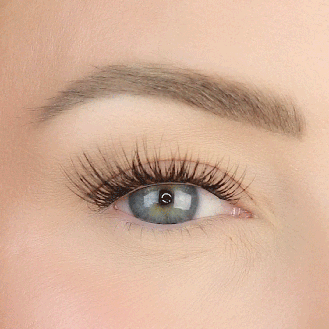 LashSense® Lashes Bloom Box