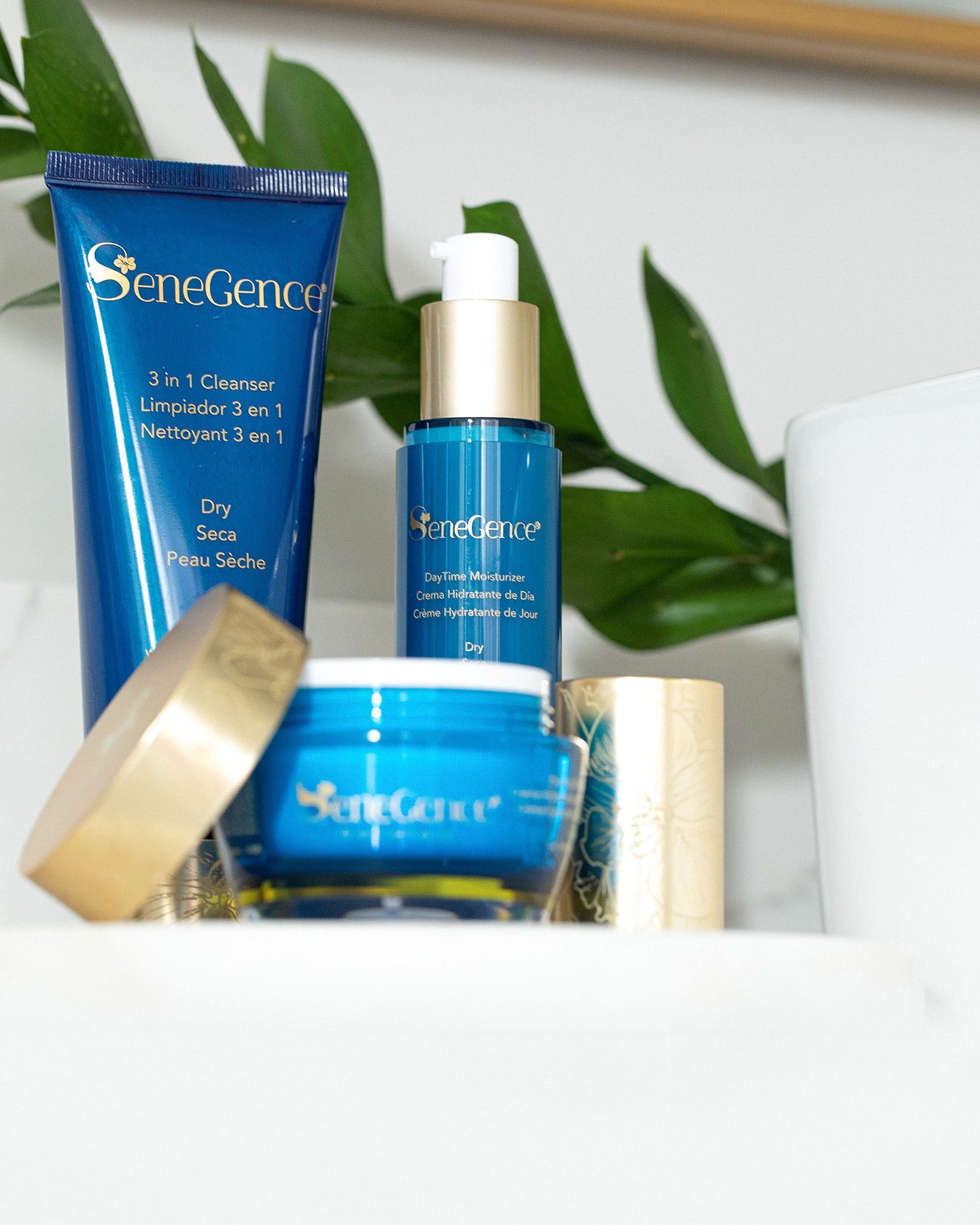 DayTime Moisturizer - Dry