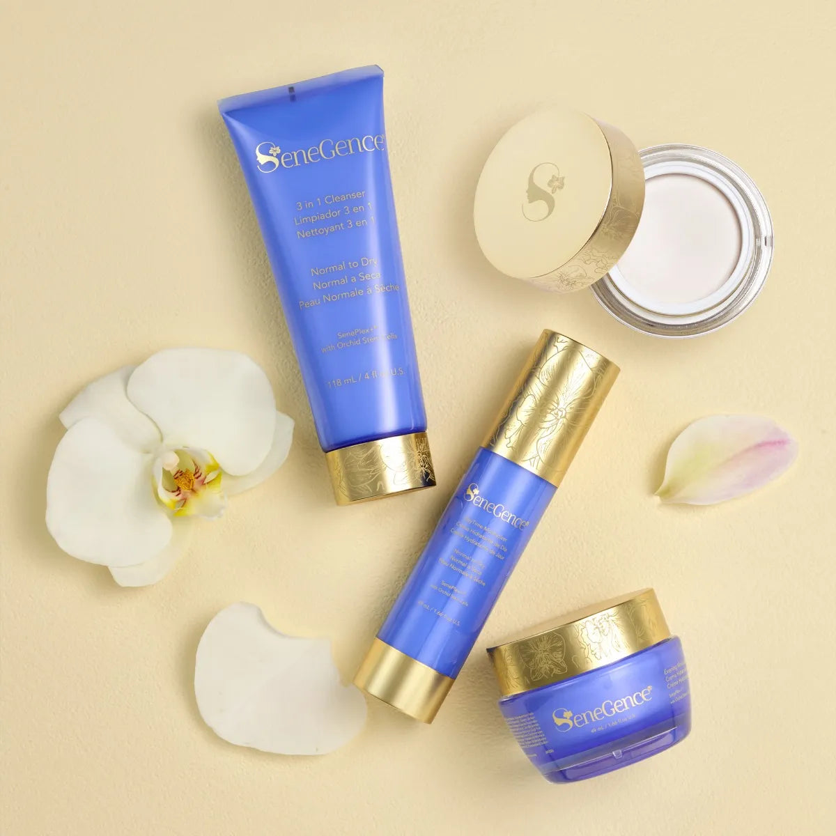 Normal-Dry SkinCare Regimen Set AU